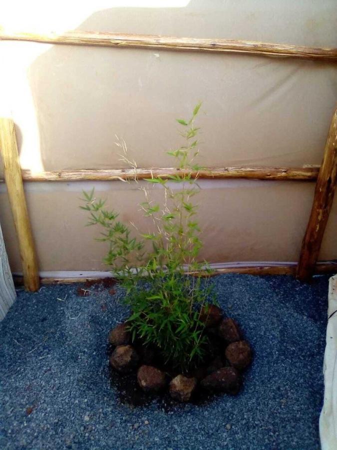Amanya 1-Bed Leopard Tent Amboseli Εξωτερικό φωτογραφία